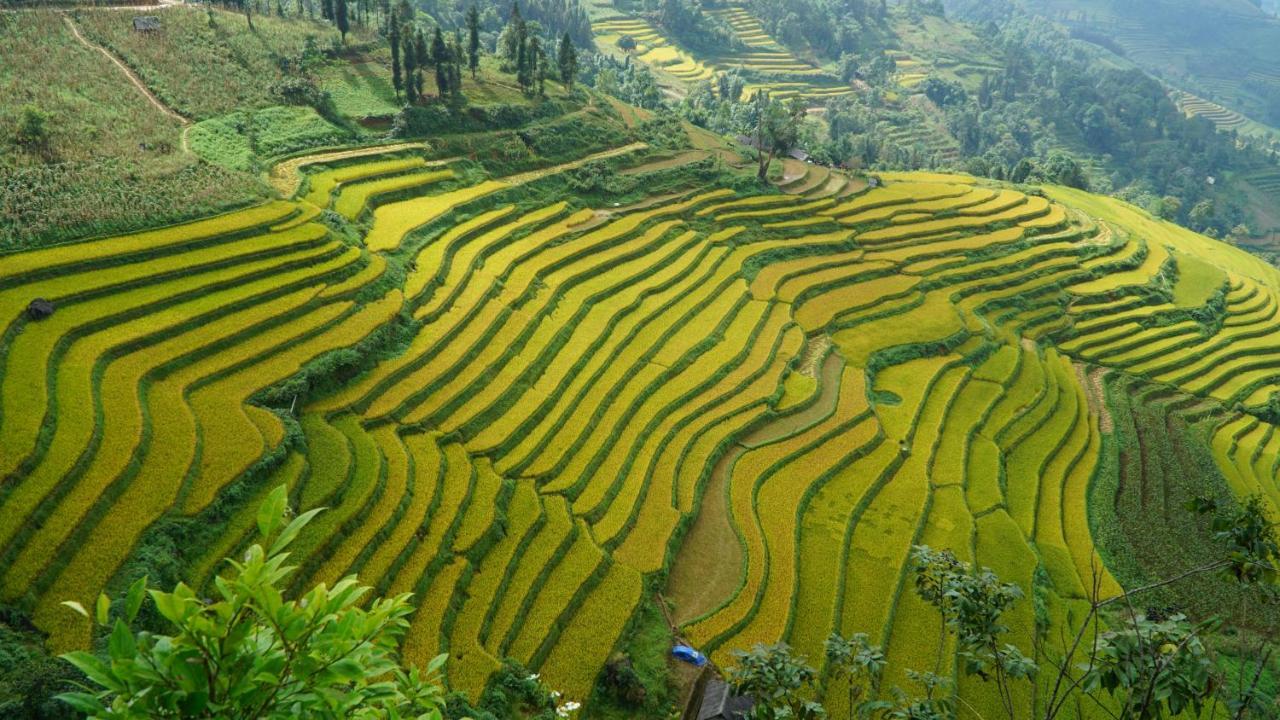 Huy Trung Homestay Bac Ha  Exterior foto